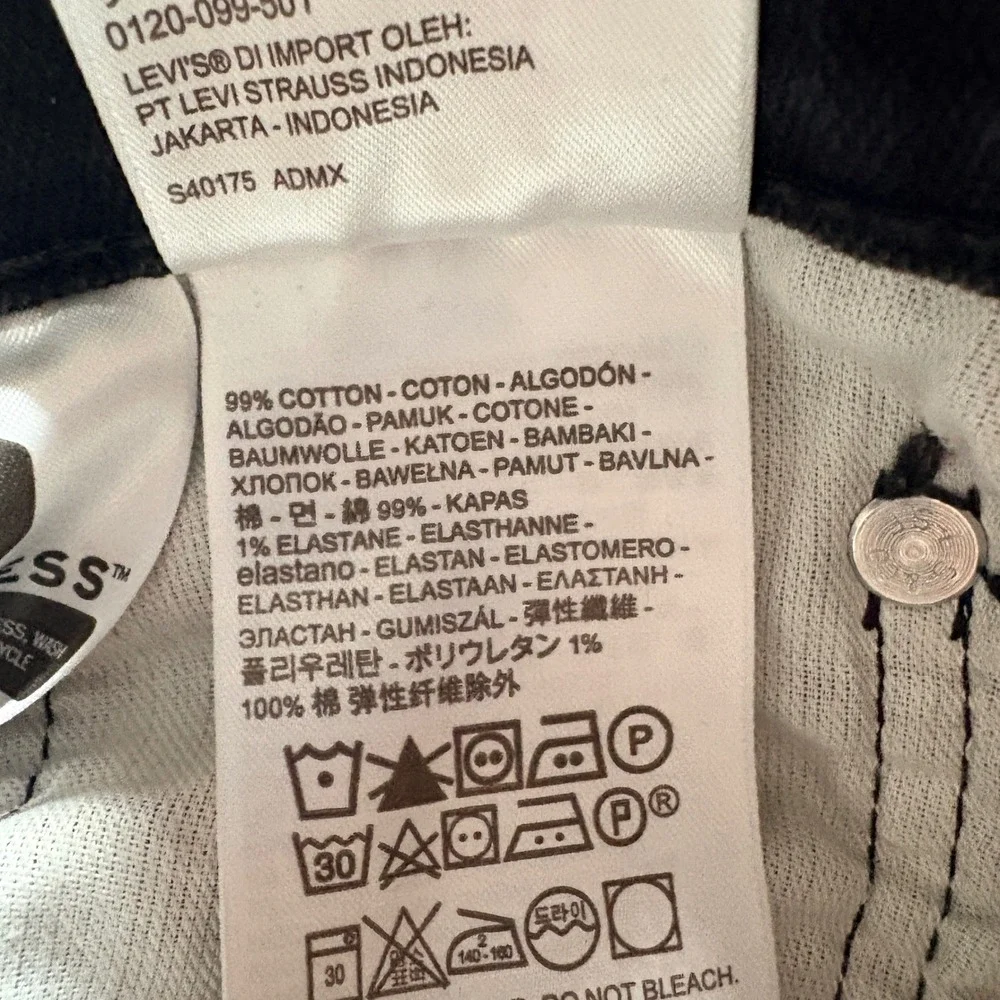 Levis levi 569